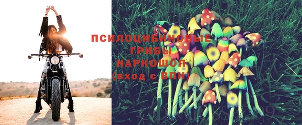 прущая мука Протвино