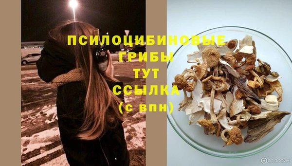 прущая мука Протвино
