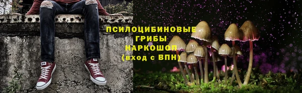 гашик Пролетарск