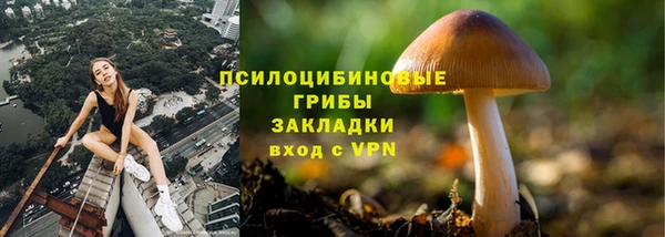 прущая мука Протвино