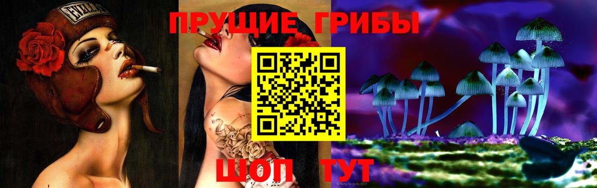 Псилоцибиновые грибы Psilocybe Златоуст